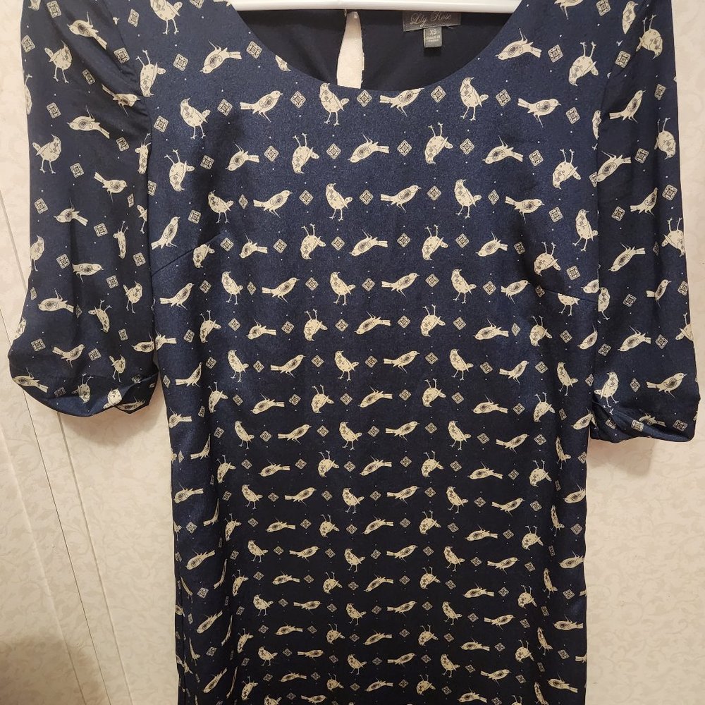 Size xs Lily Rose Dress